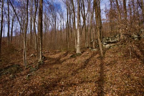 323A White Oak Flatt Road Sparta TN 38583