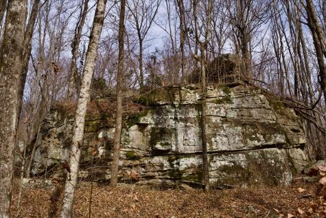 323A White Oak Flatt Road Sparta TN 38583