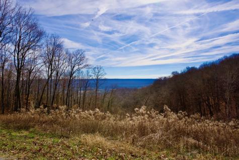 323A White Oak Flatt Road Sparta TN 38583