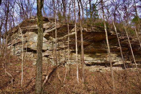 323A White Oak Flatt Road Sparta TN 38583