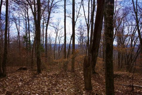 323A White Oak Flatt Road Sparta TN 38583