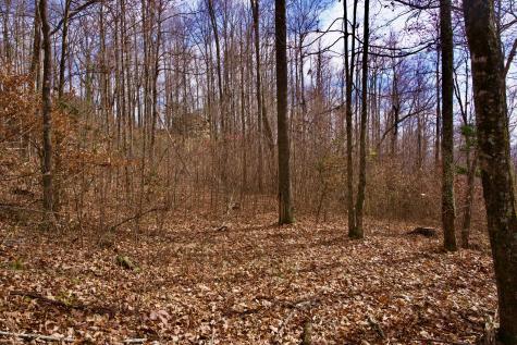 323A White Oak Flatt Road Sparta TN 38583