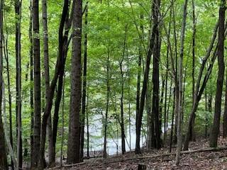 0 Rocky Hollow Drive Winchester TN 37398