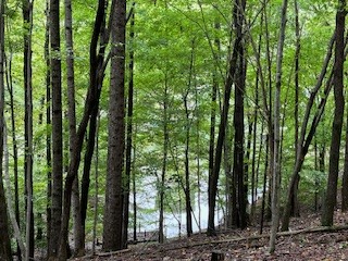 0 Rocky Hollow Drive Winchester TN 37398