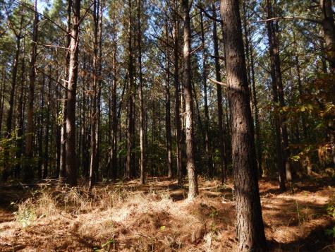 0 Hudson Road Hohenwald TN 38462