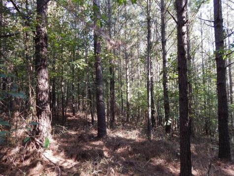 0 Hudson Road Hohenwald TN 38462