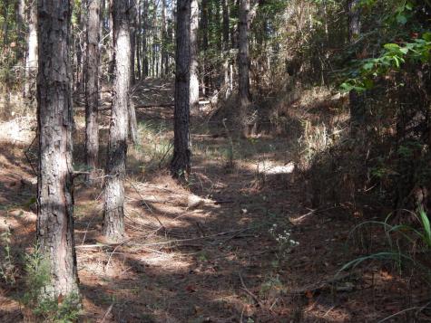 0 Hudson Road Hohenwald TN 38462