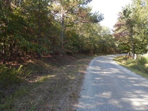 0 Hudson Road Hohenwald TN 38462