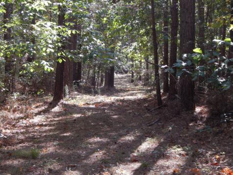 0 Hudson Road Hohenwald TN 38462