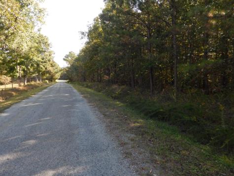 0 Hudson Road Hohenwald TN 38462