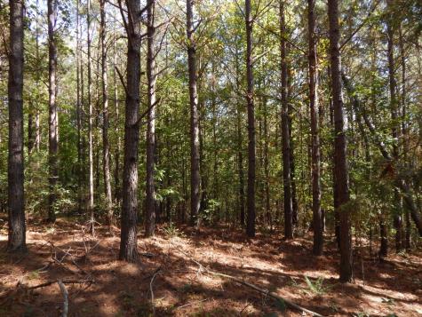 0 Hudson Road Hohenwald TN 38462