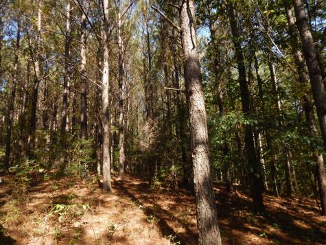 0 Hudson Road Hohenwald TN 38462