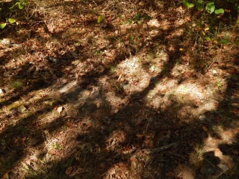 0 Hudson Road Hohenwald TN 38462