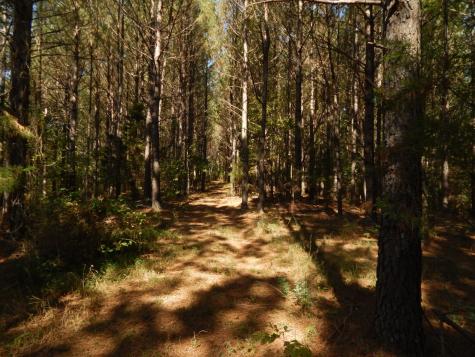 0 Hudson Road Hohenwald TN 38462