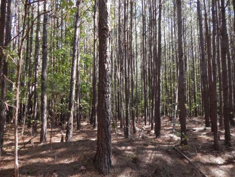 0 Hudson Road Hohenwald TN 38462