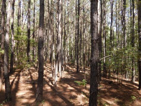 0 Hudson Road Hohenwald TN 38462