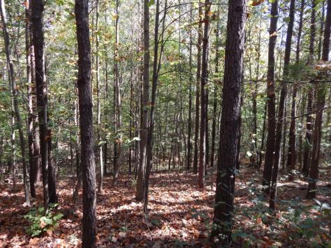 0 Hudson Road Hohenwald TN 38462
