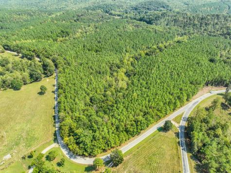 0 Hudson Road Hohenwald TN 38462