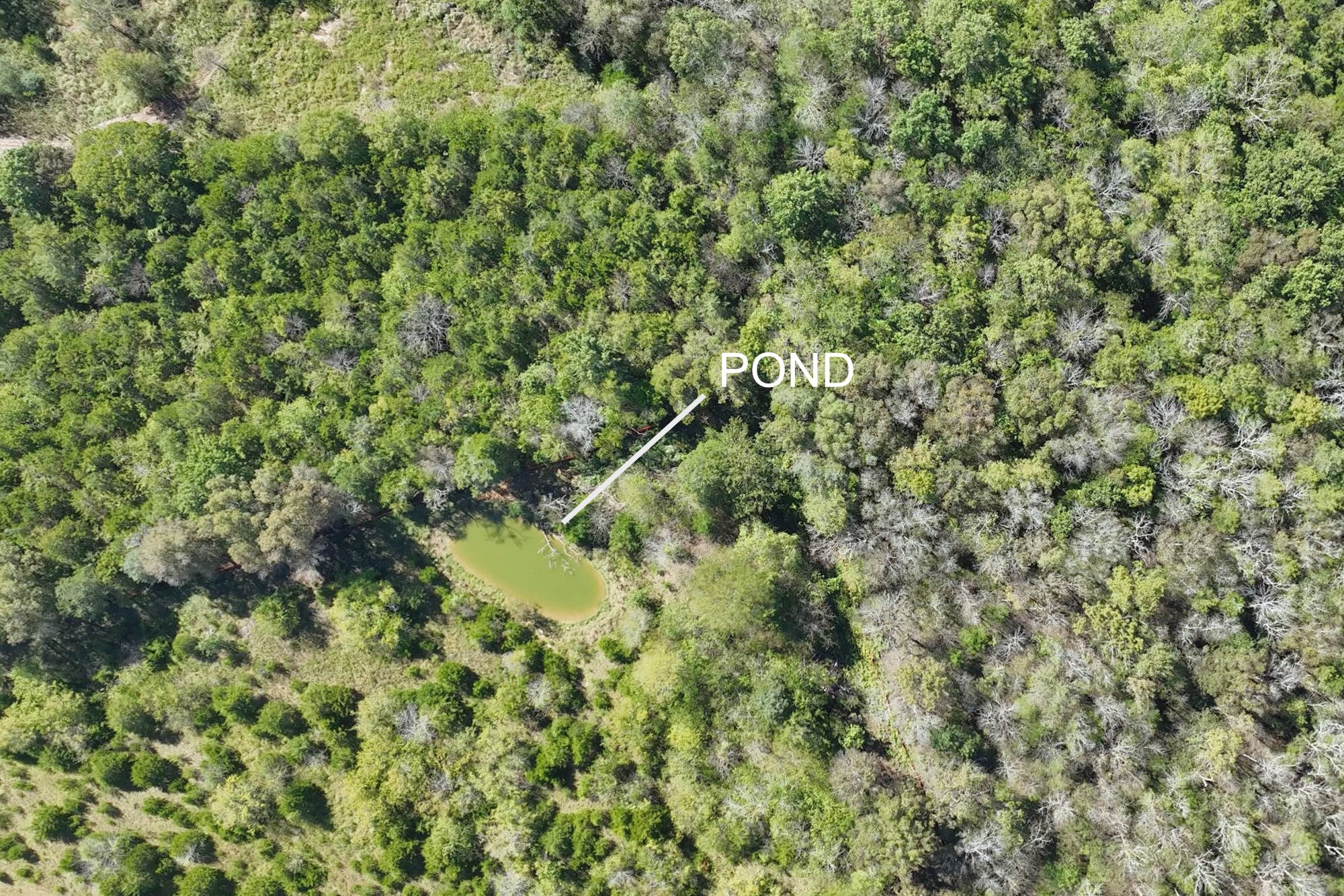 9919 Maupin Road Brentwood TN 37027