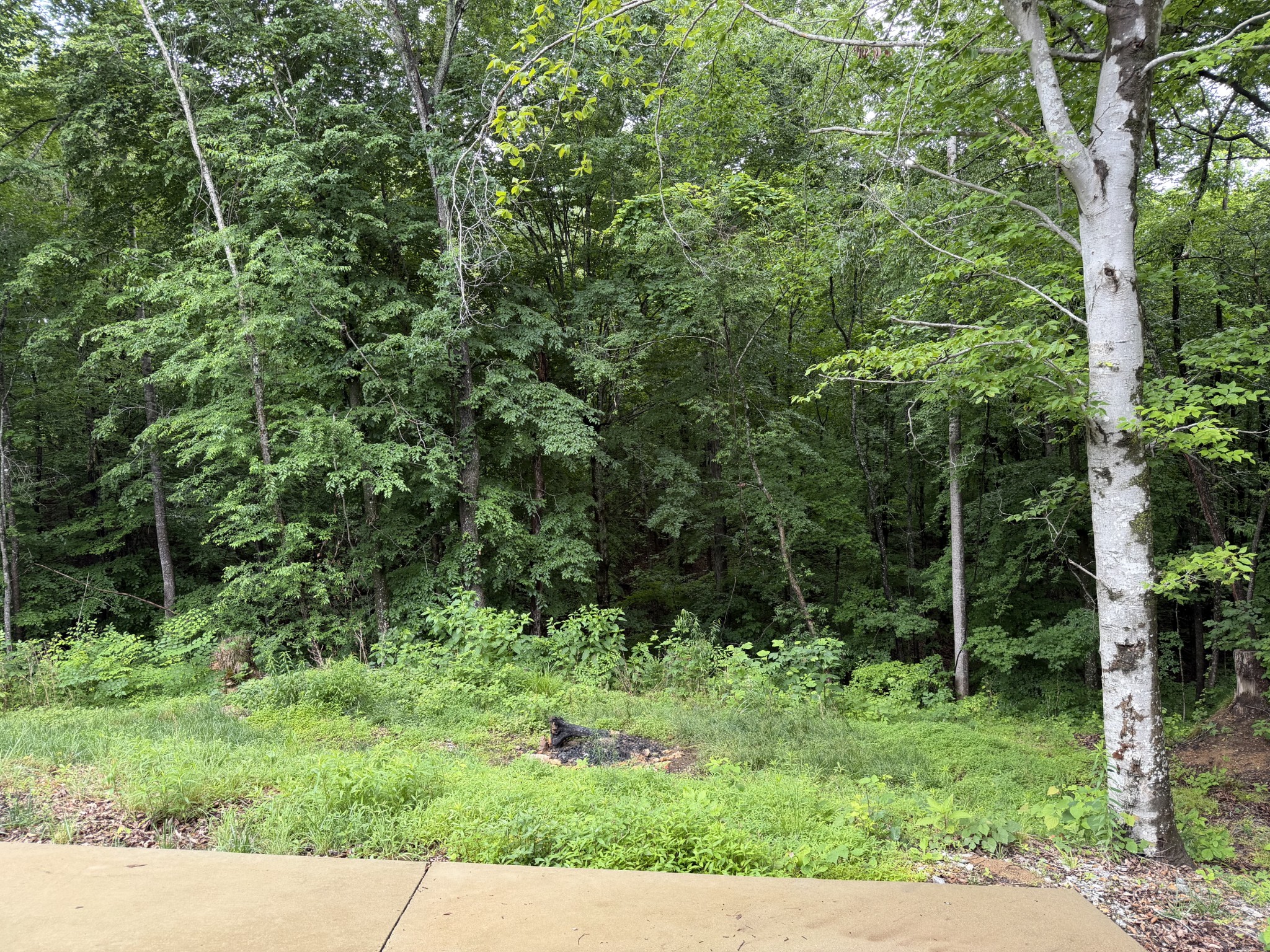 115 Dale Lane Dover TN 37058