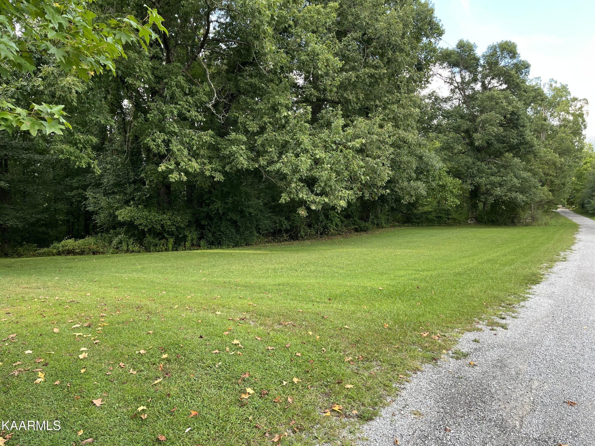 135 Livesay Road Clarkrange TN 38553