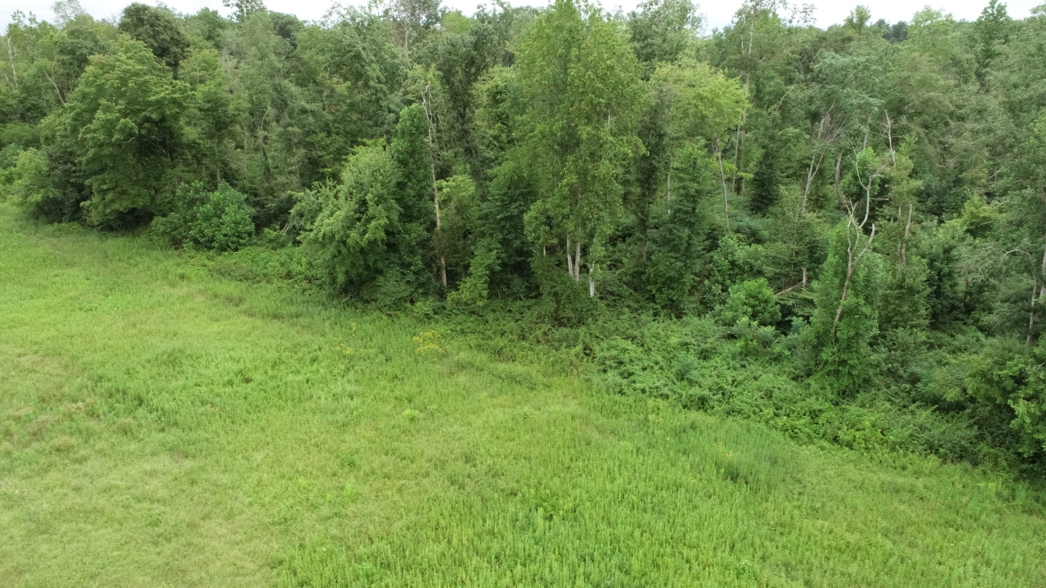 0 Dunn Road Baxter TN 38544