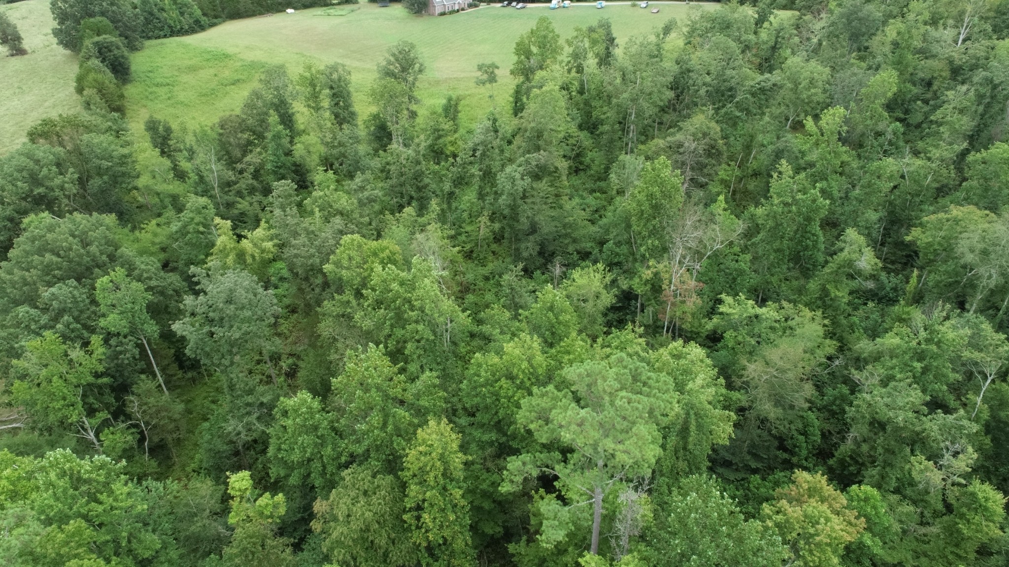 0 Dunn Road Baxter TN 38544