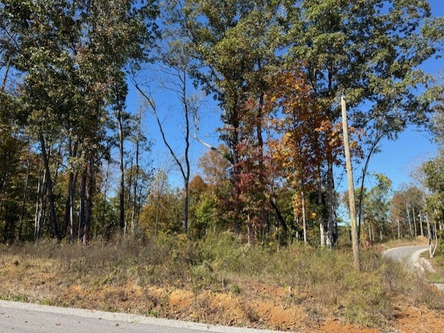9599 Medlin Road Baxter TN 38544