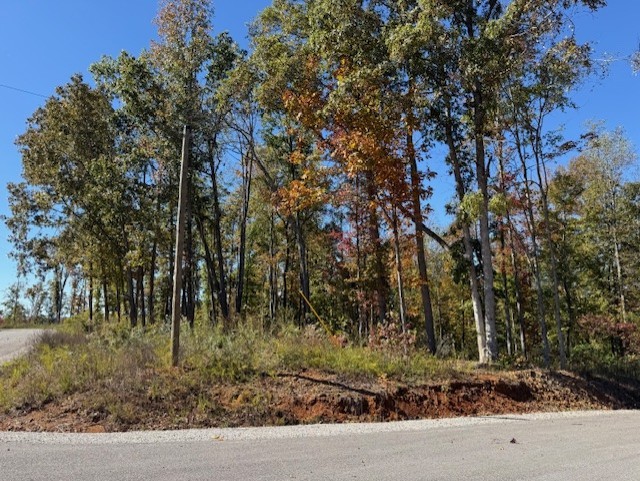 9599 Medlin Road Baxter TN 38544