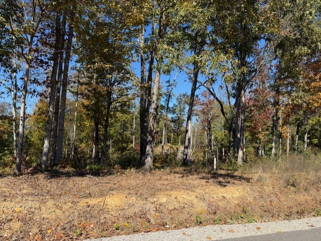 9599 Medlin Road Baxter TN 38544