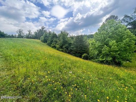 6213 Outlook Trail Russellville TN 37860