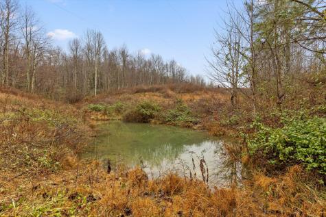 1363 Bass Layne Road Gruetli Laager TN 37339