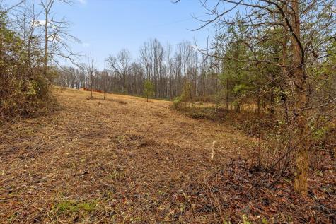 1363 Bass Layne Road Gruetli Laager TN 37339