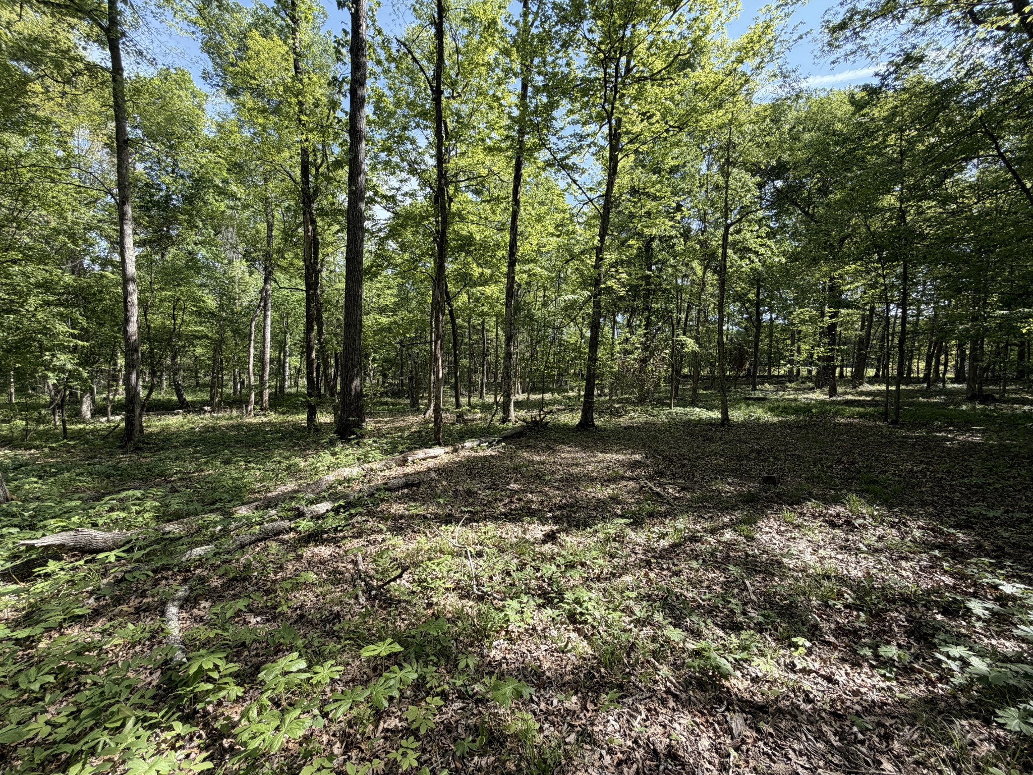 0 Millersburg Road Christiana TN 37037