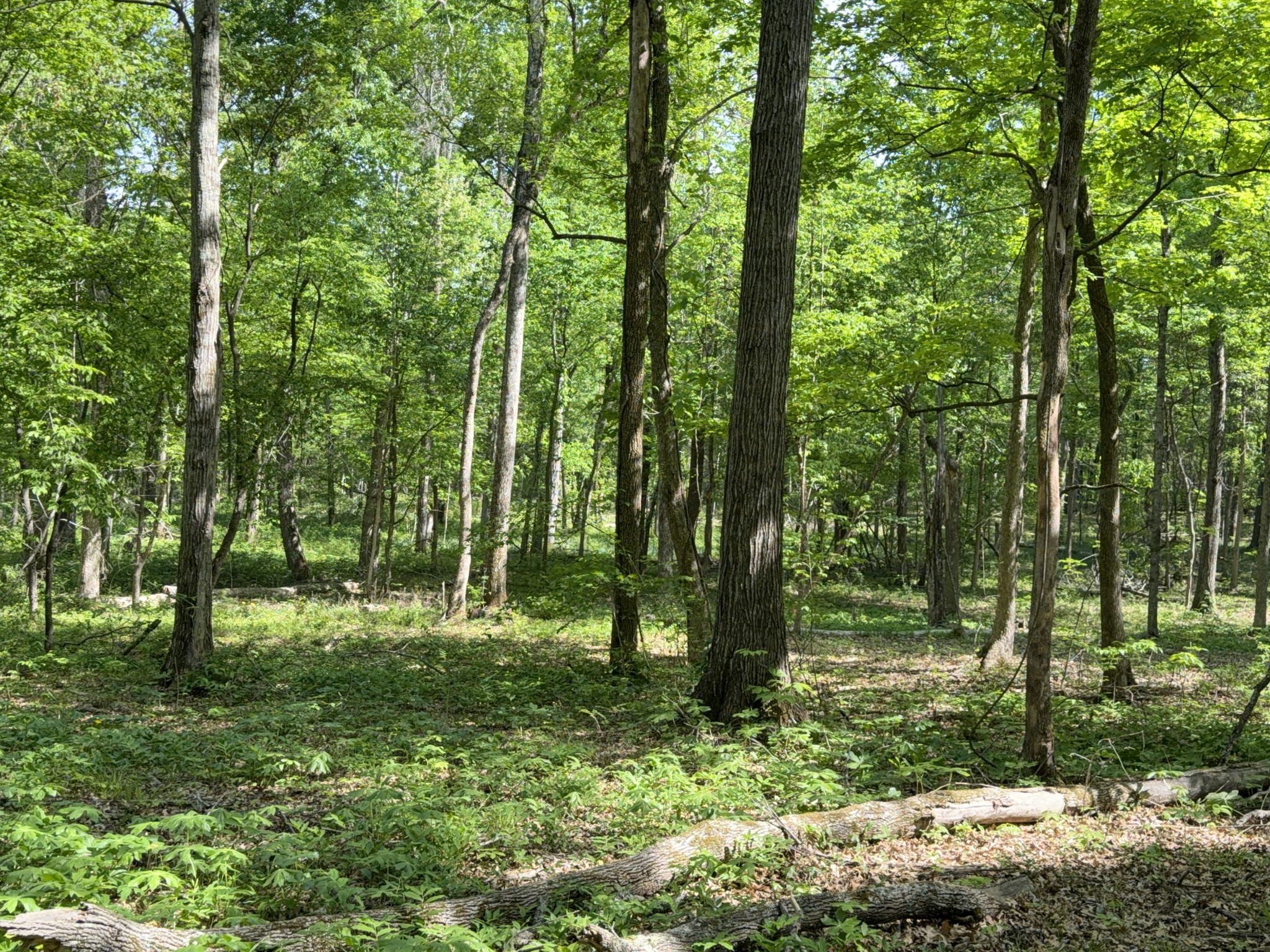 0 Millersburg Road Christiana TN 37037