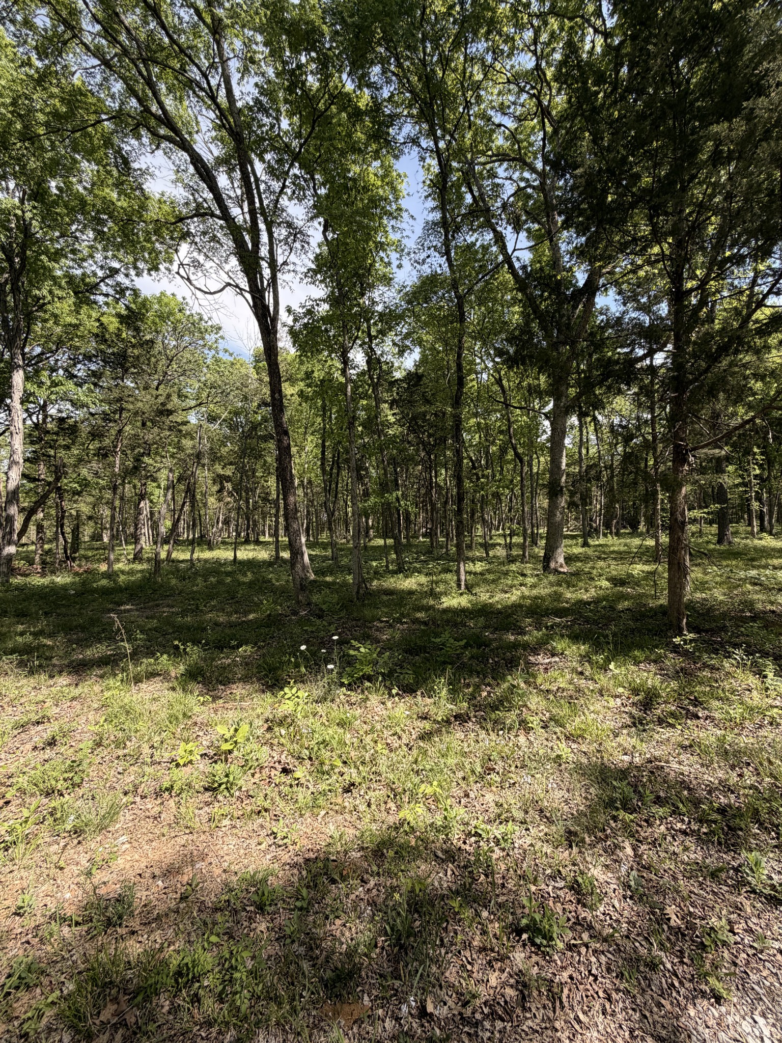 0 Millersburg Road Christiana TN 37037
