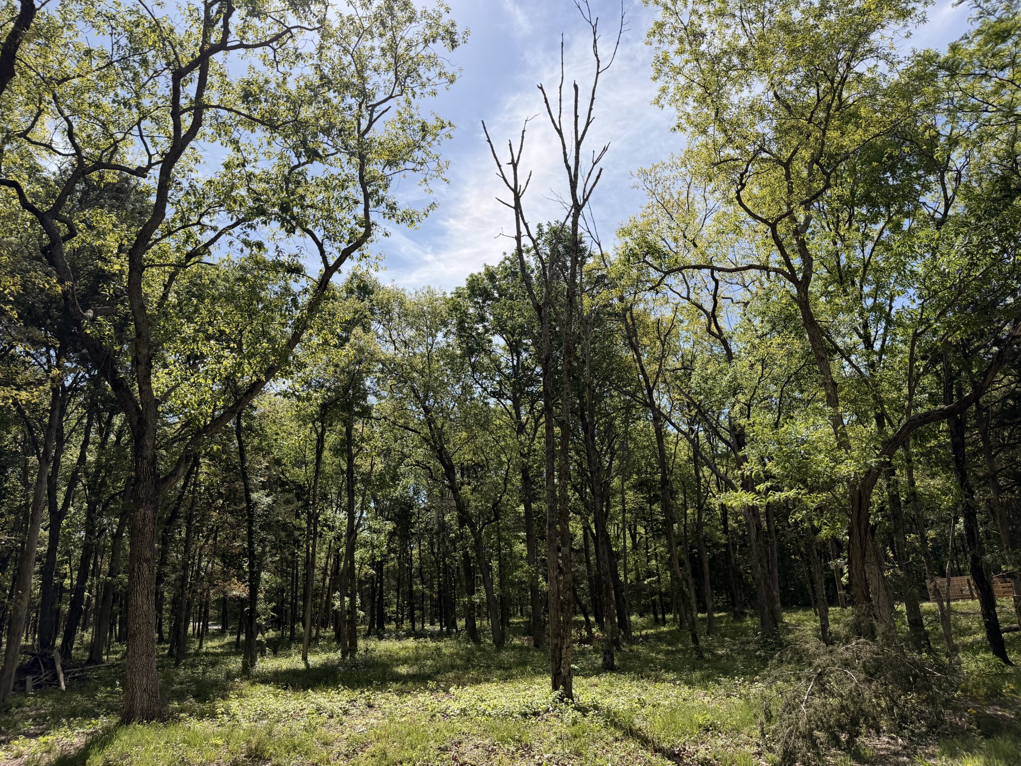 0 Millersburg Road Christiana TN 37037