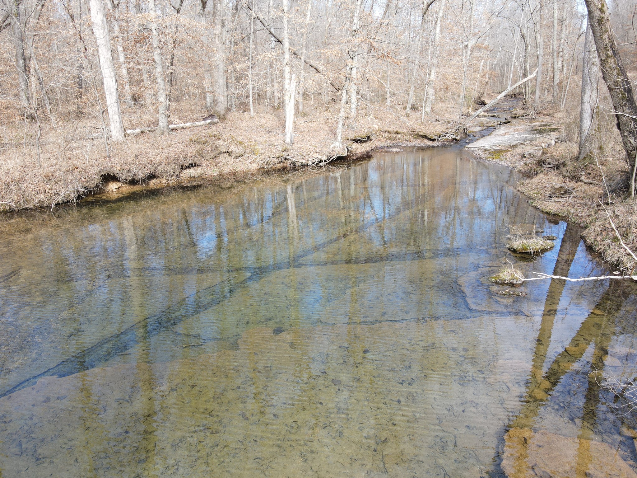 0 North Fork Stewart TN 37175