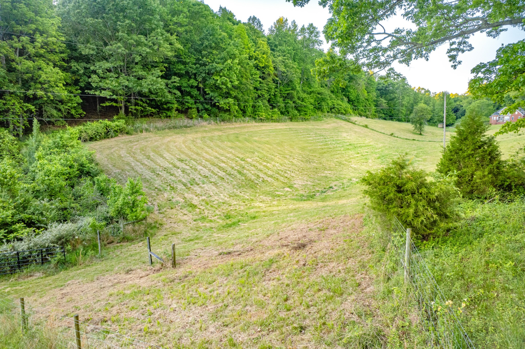 6 Young Road Pulaski TN 38478