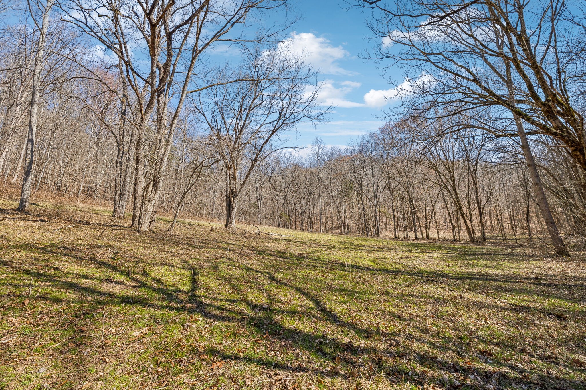 6528 Neely Creek Road Celina TN 38551