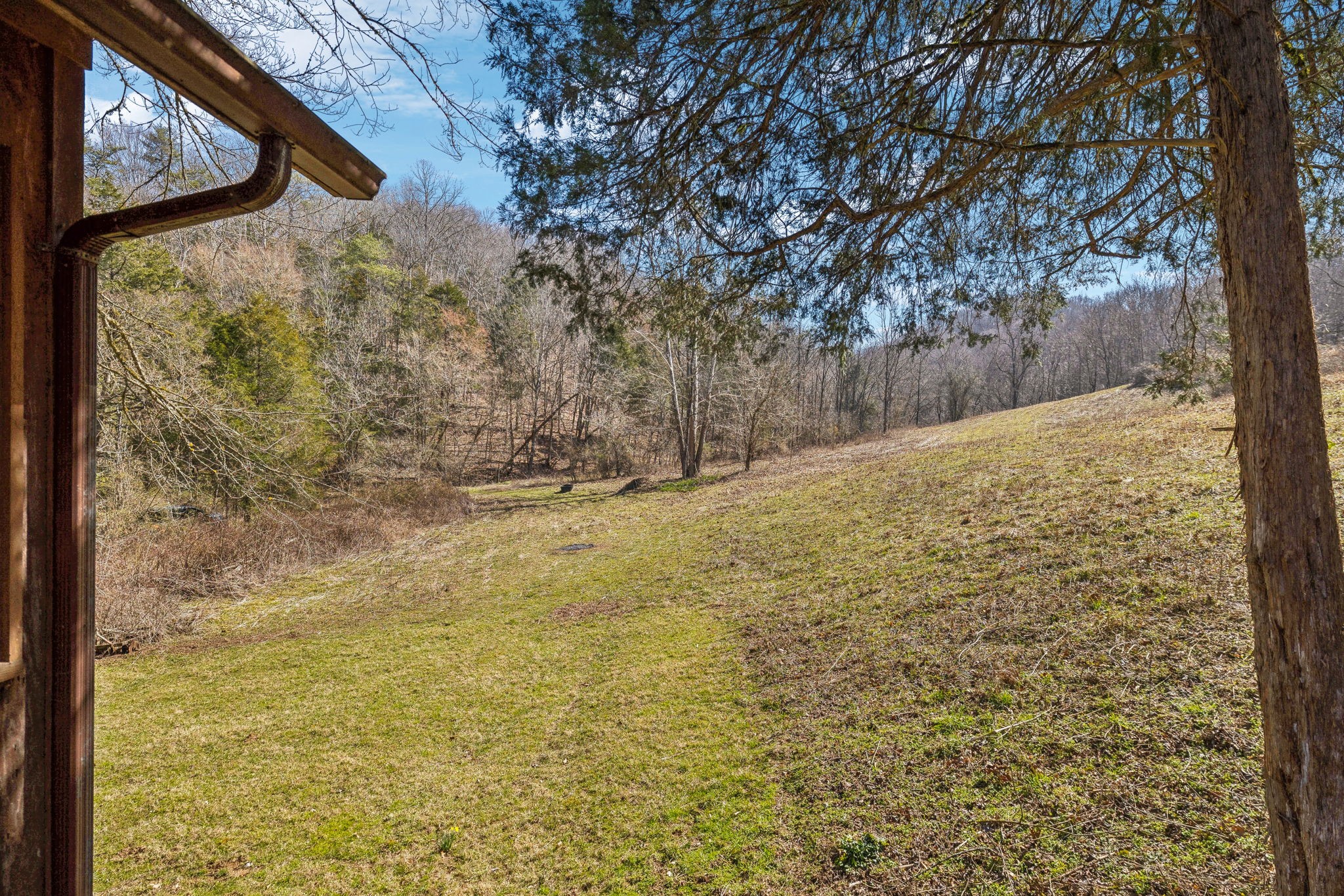 6528 Neely Creek Road Celina TN 38551