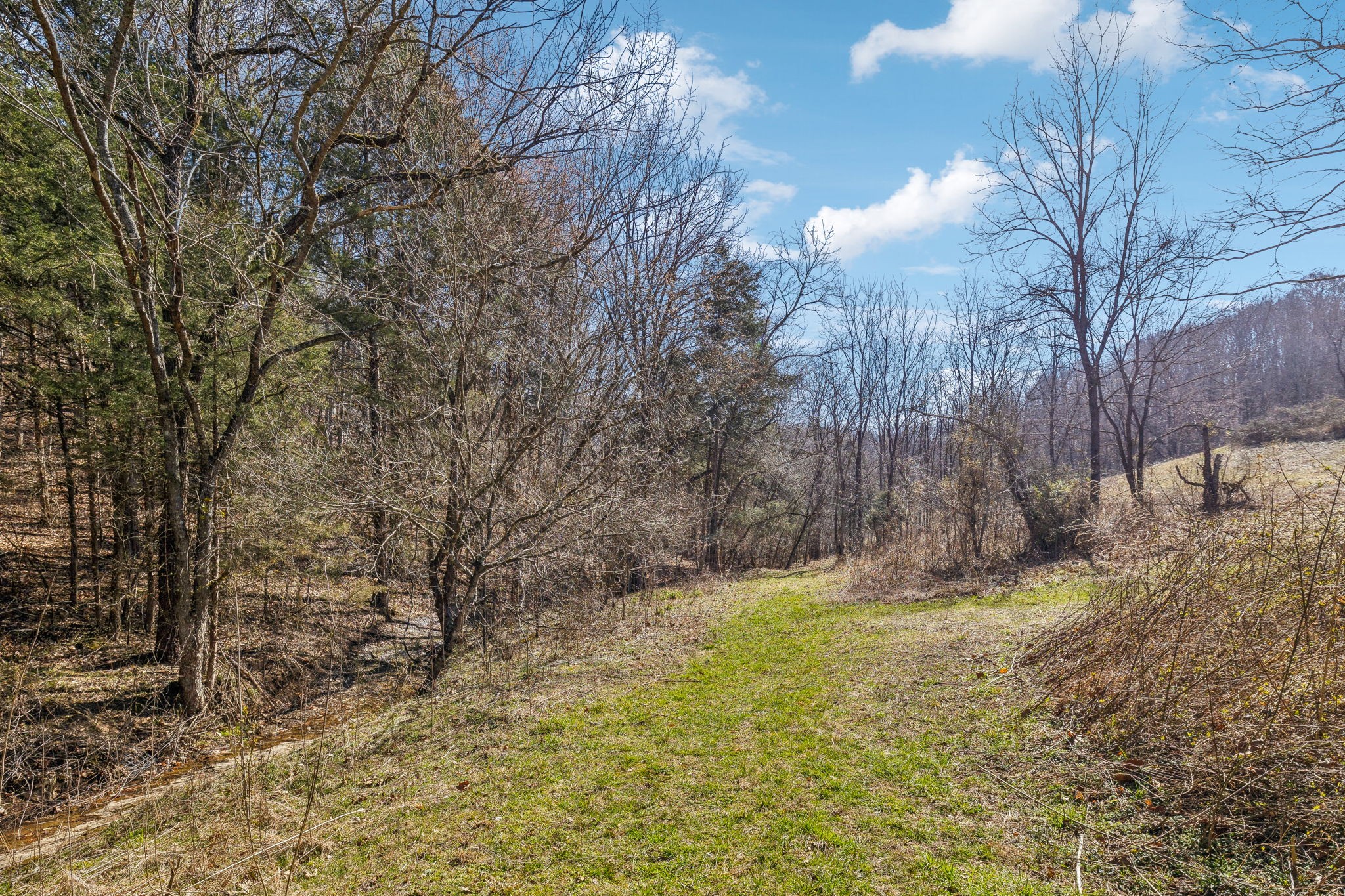 6528 Neely Creek Road Celina TN 38551