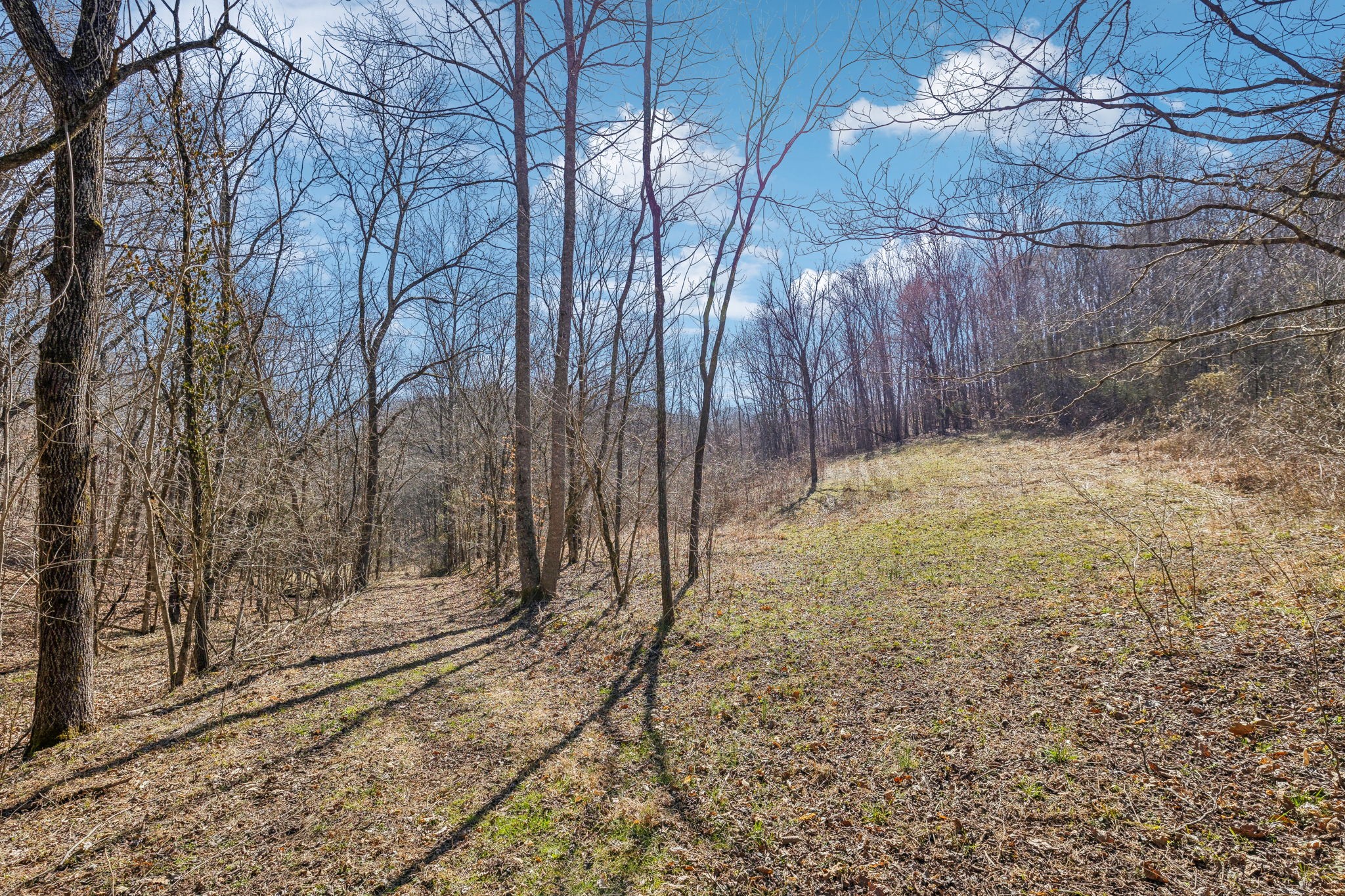 6528 Neely Creek Road Celina TN 38551