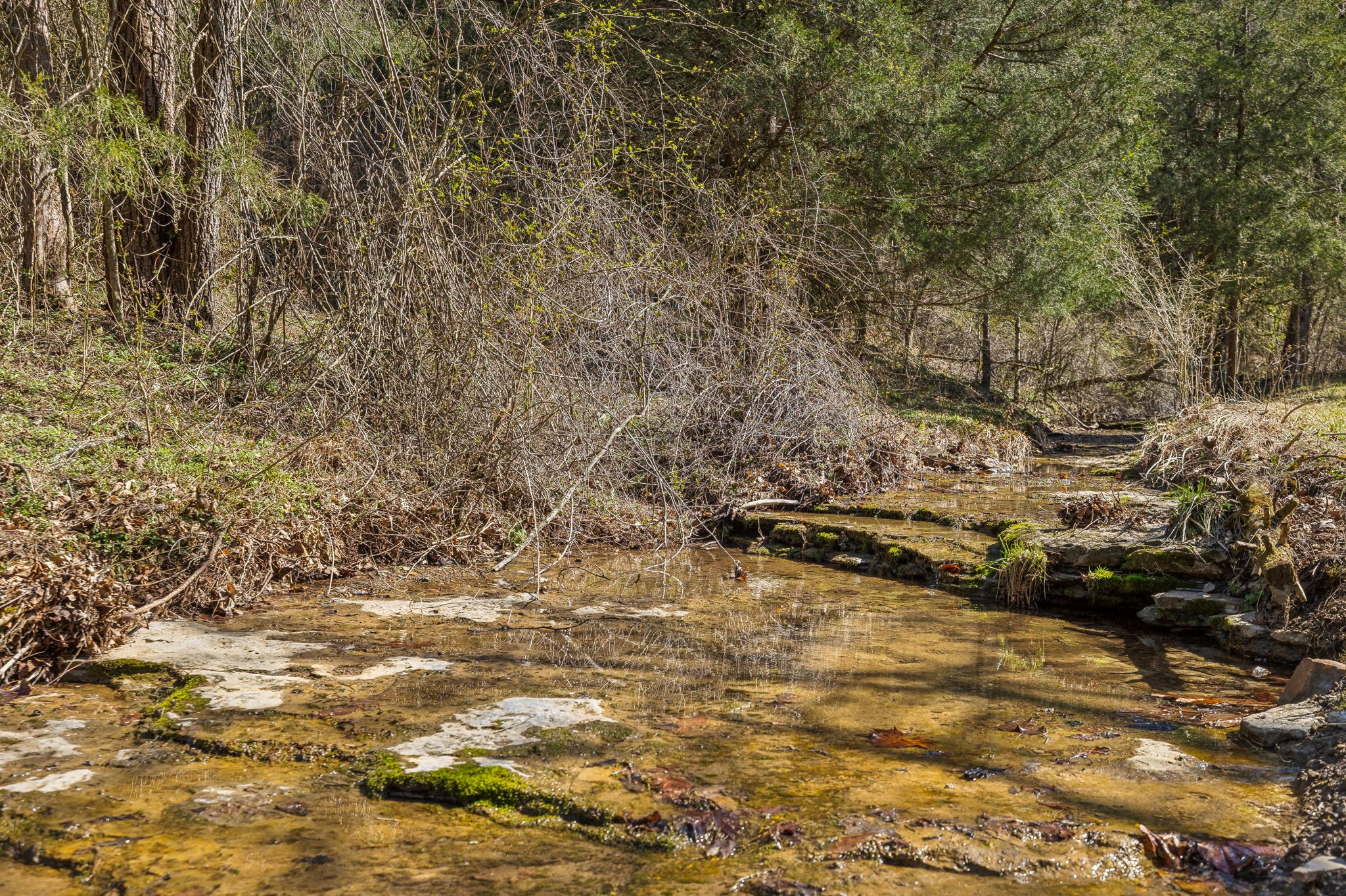 6528 Neely Creek Road Celina TN 38551