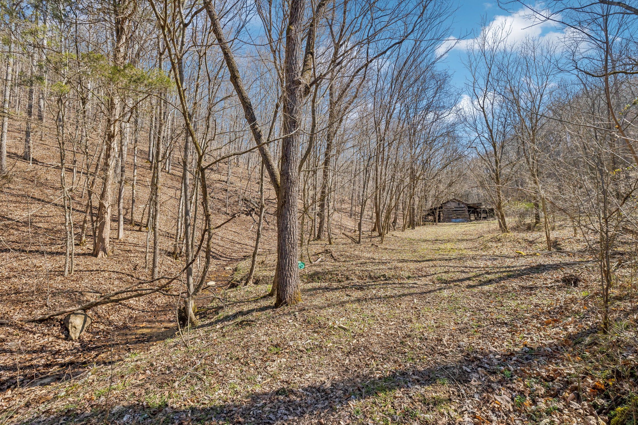 6528 Neely Creek Road Celina TN 38551