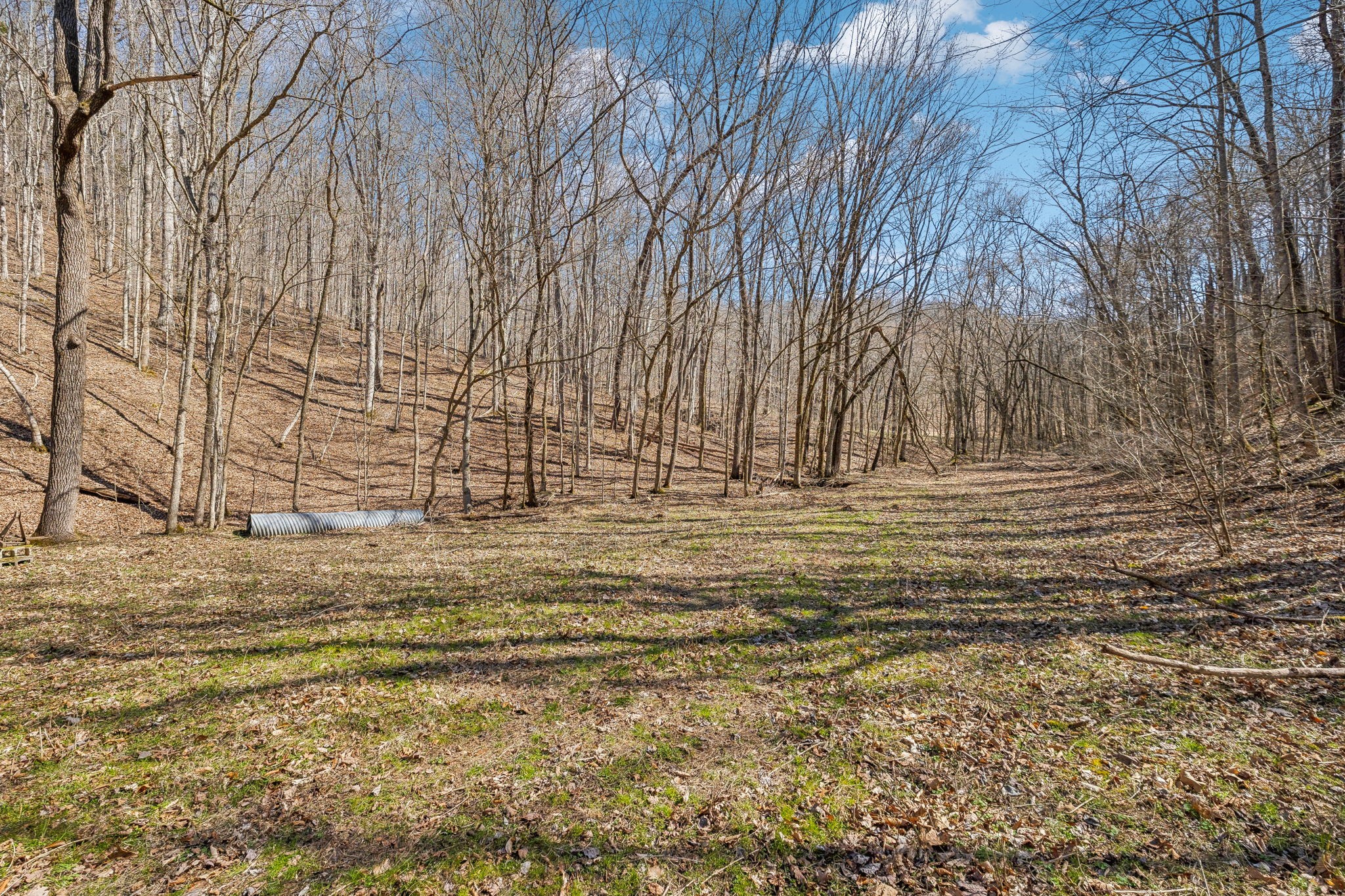 6528 Neely Creek Road Celina TN 38551