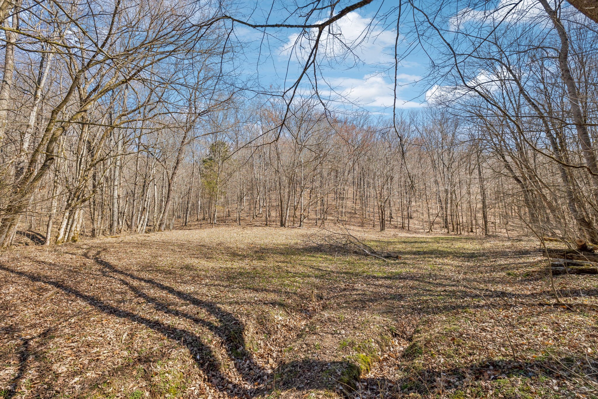 6528 Neely Creek Road Celina TN 38551