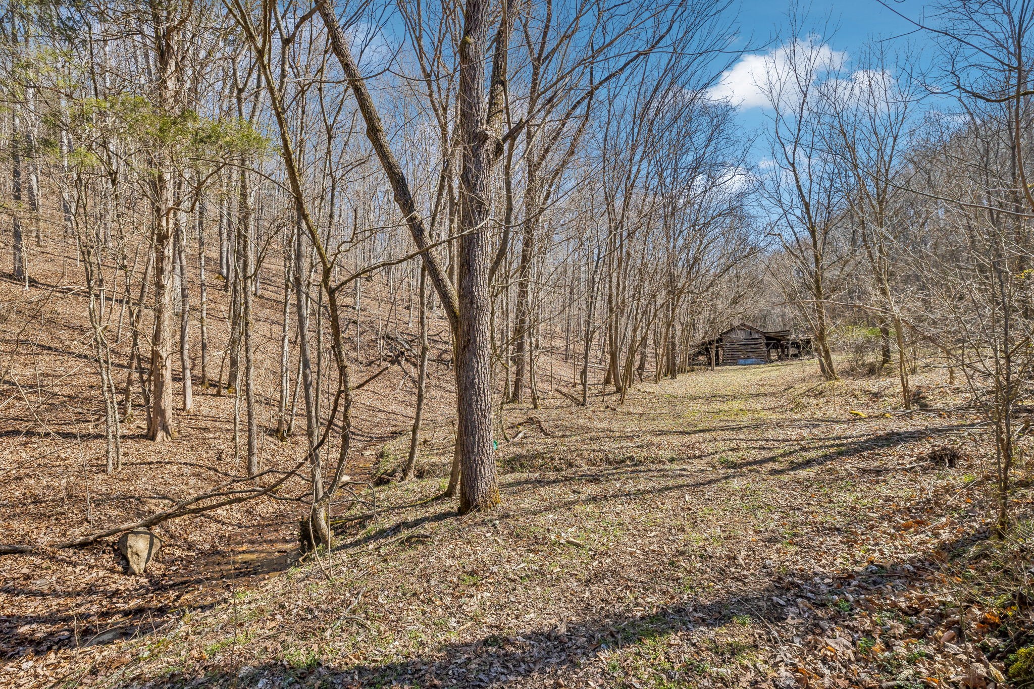 6528 Neely Creek Road Celina TN 38551