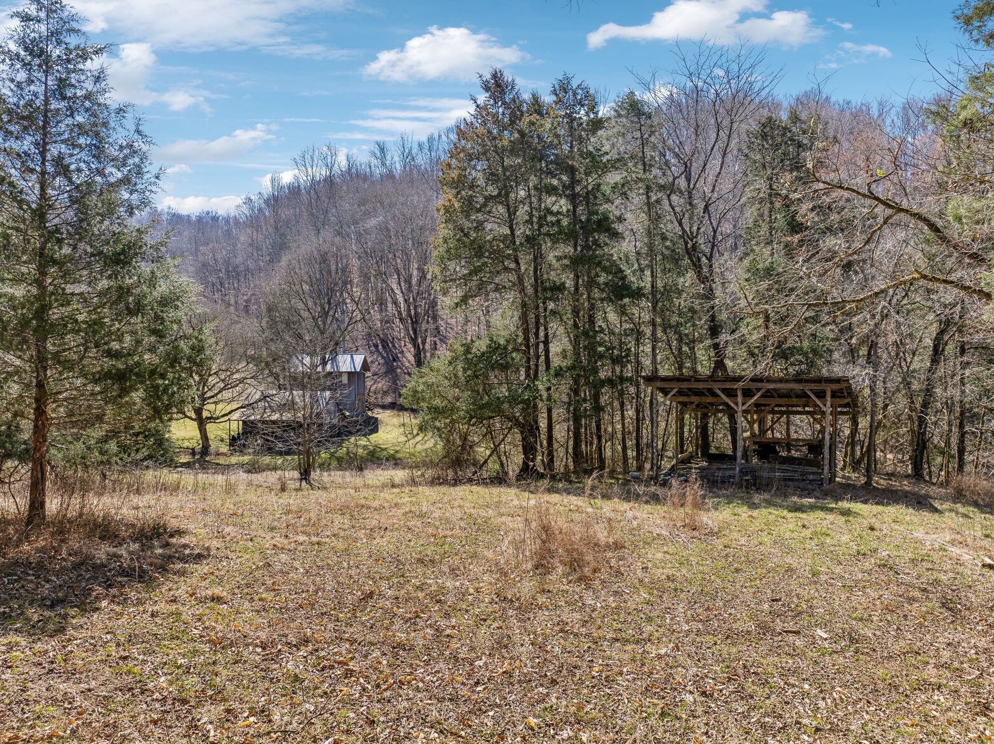 6528 Neely Creek Road Celina TN 38551