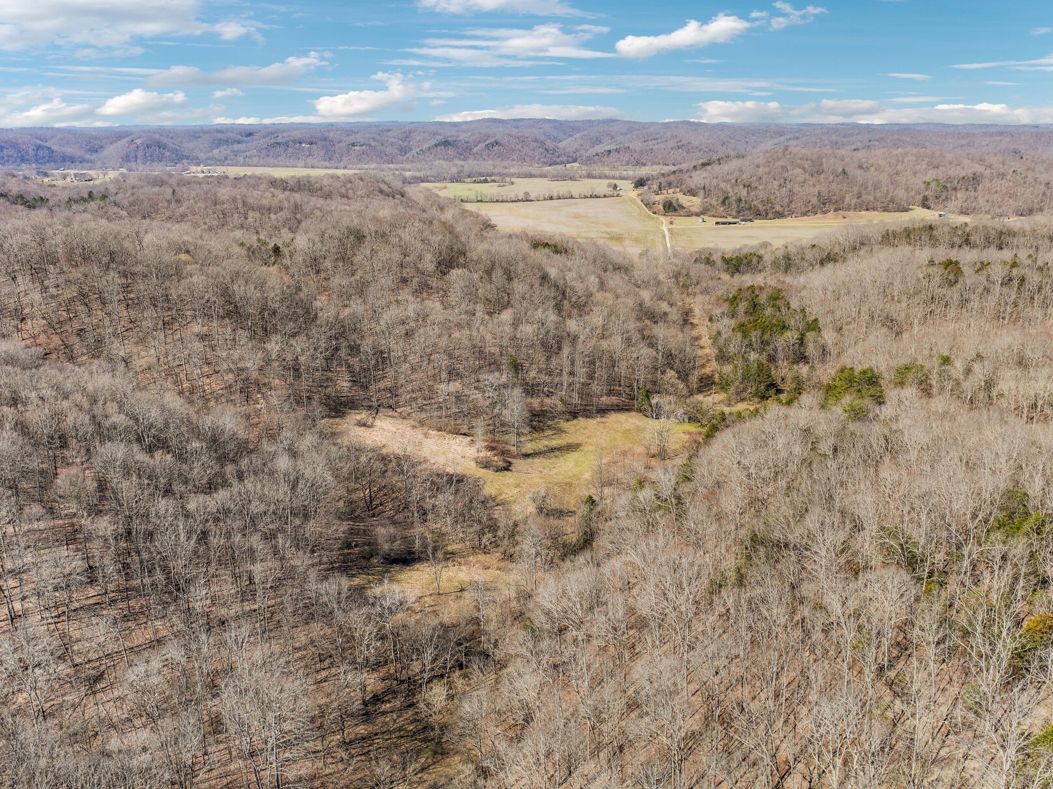 6528 Neely Creek Road Celina TN 38551